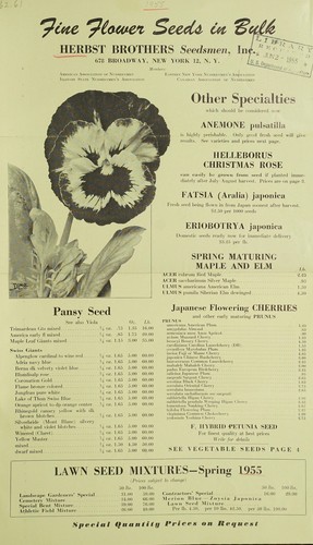 Fine flower seeds in bulk