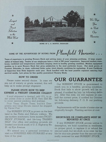 The Plumfield Nurseries, 1955