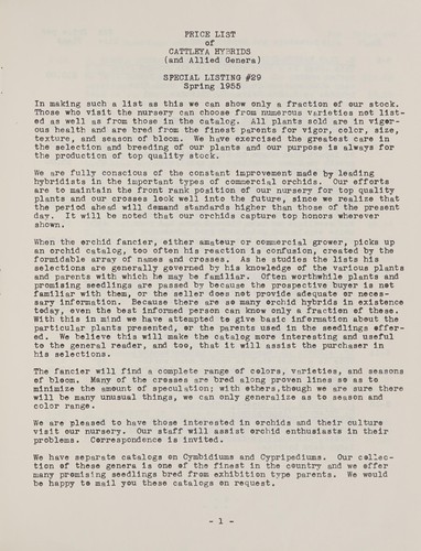 A special offering of cattleya hybrids and allied genera