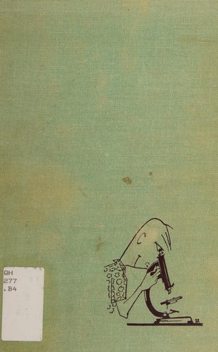 Tale of a whistling shrimp.