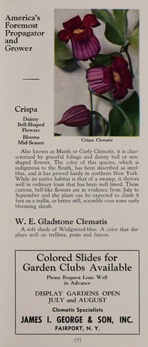 Duchess of Edinburgh