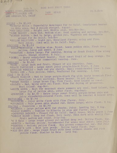 Bare root fruit trees, 1956 stock