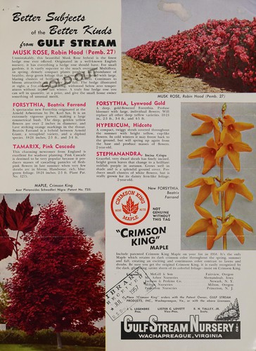 Fall 1957 - spring 1958