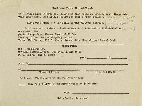 Real live Texas horned toads