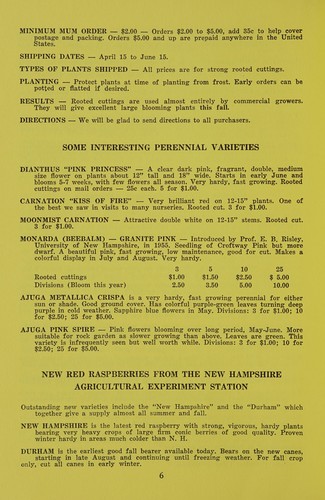 We sell c-o-l-o-r for your home and garden