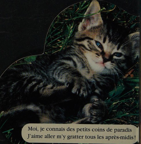 J'aime les chatons