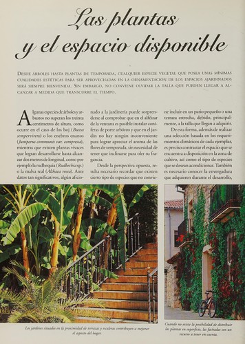 Mini Jardines - Composicion En Pequeños Espacios