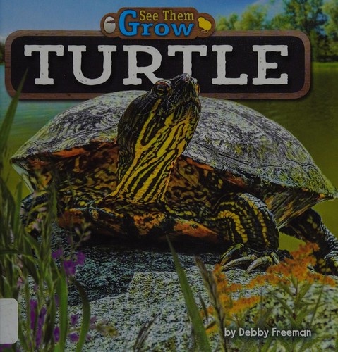 Turtle