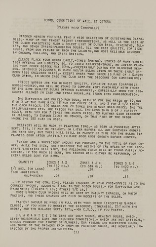 Daffodils for the connoisseur and the beginner