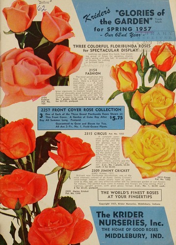 Krider's "glories of the garden"