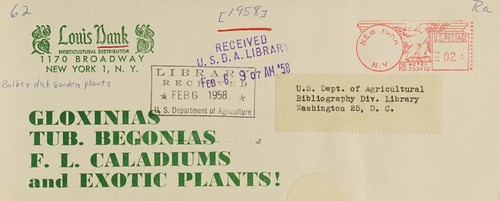 Gloxinias, tub. begonias, f. l. caladiums and exotic plants!