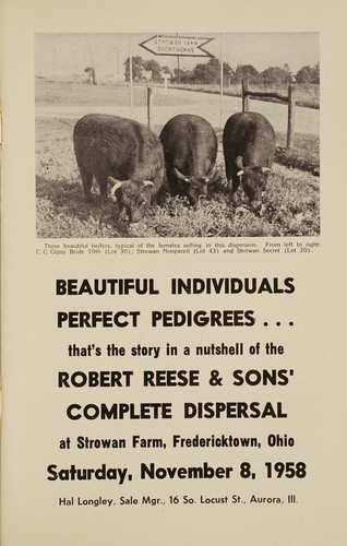 Beautiful individuals, perfect pedigrees...