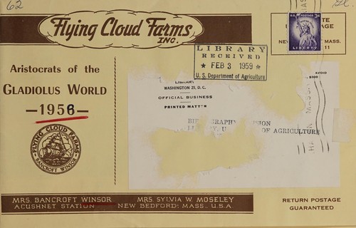 Aristocrats of the gladiolus world