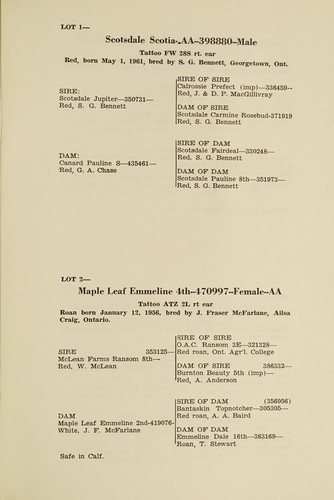 Dispersal sale of Scotch shorthorns