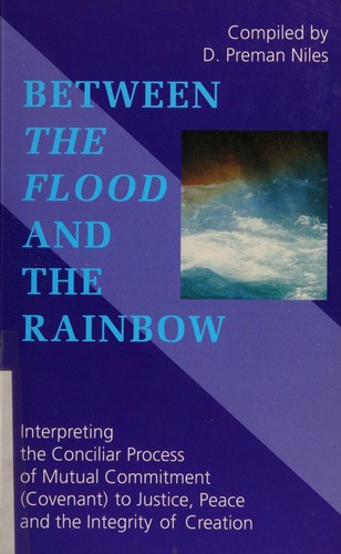 Between the flood and the rainbow