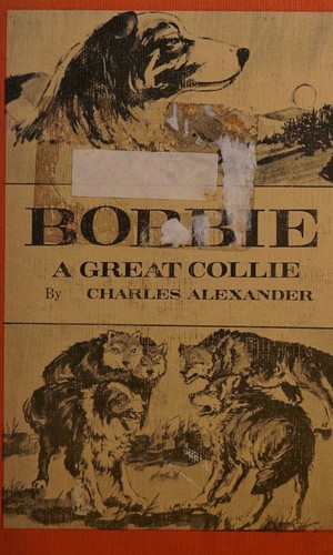 Bobbie, a great collie