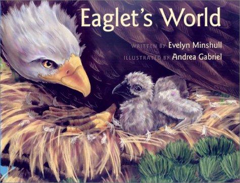 Eaglet's world