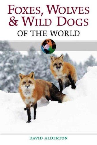 Foxes, wolves & wild dogs of the world