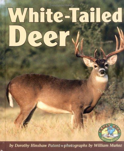 White-Tailed Deer (Early Bird Nature Books)