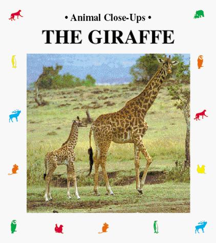 The giraffe