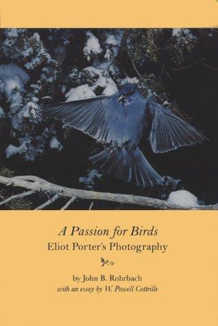 A passion for birds