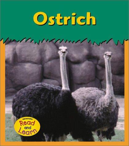 Ostrich (Zoo Animals)