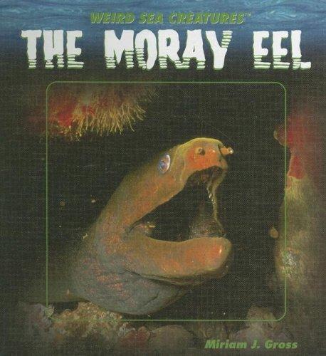 The Moray Eel (Weird Sea Creatures)