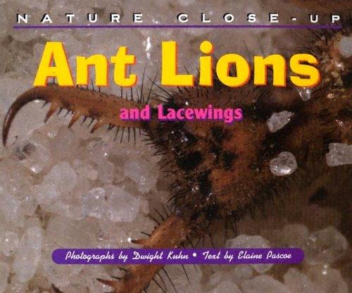 Ant lions and lacewings
