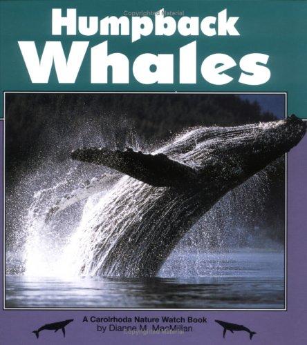 Humpback Whales (Nature Watch)