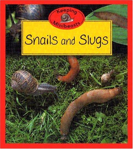 Snails And Slugs (Keeping Minibeasts)