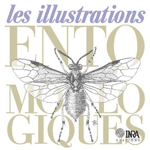 Les illustration entomologiques