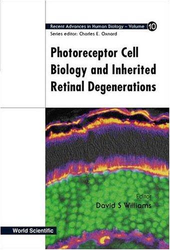 Cell biology and related diseases of the outer retina