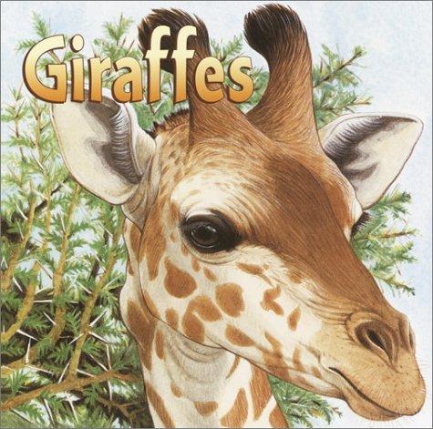 Giraffes