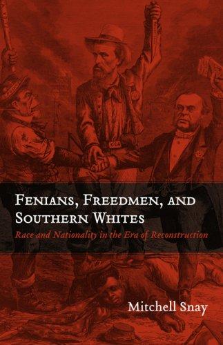 Fenians, Freedmen, and Southern Whites: Race and Nationality in the Era of Reconstruction (Conflicting Worlds: New Dimensions of the American Civil War)