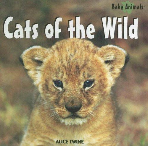 Cats of the Wild