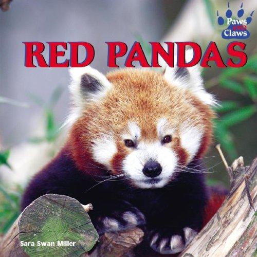 Red Pandas (Paws and Claws)