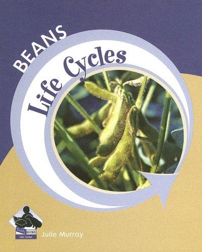 Beans (Life Cycles)
