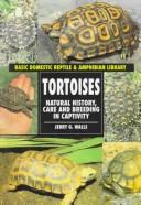 Tortoises