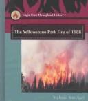 The Yellowstone Park fire of 1988
