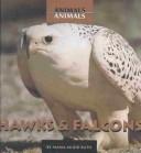 Hawks & Falcons (Animals, Animals)