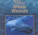 Sperm Whales (Whales and Dolphins)