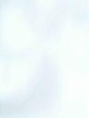 The astronomical almanac for the year 2006