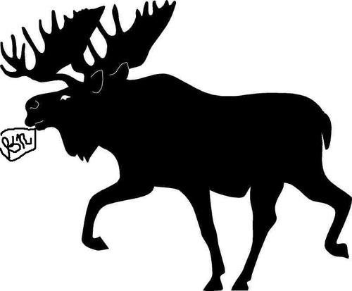 Surviving the unexpected wilderness emergency