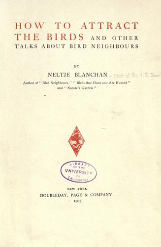 How to attract the birds