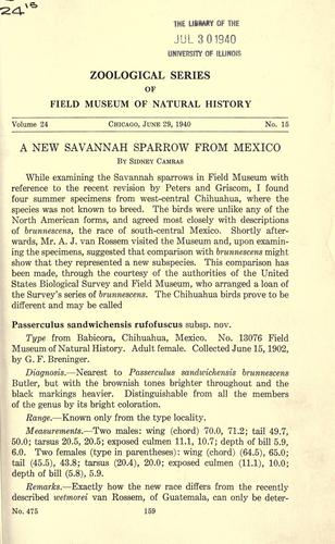 A new Savannah sparrow from Mexico.