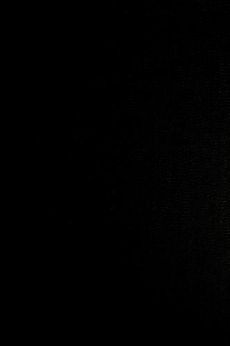 Vorlesungen über zahlentheorie.