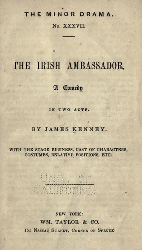 The Irish ambassador