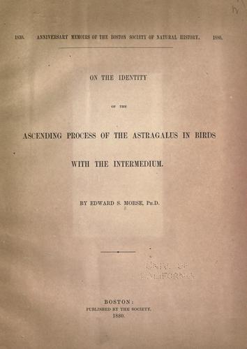 On the identity of the ascending process of the astragalus in birds with the intermedium.