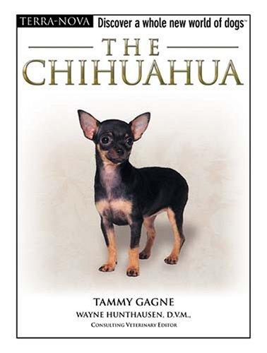 The Chihuahua