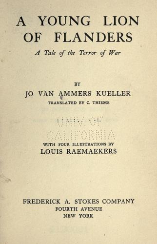 A young lion of Flanders